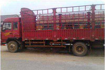 惠陽至金門17米平板車出租，專業貨物運輸解決方案