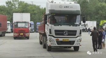 黑河貨運口岸輪渡恢復通航，助力跨境貨物運輸暢通